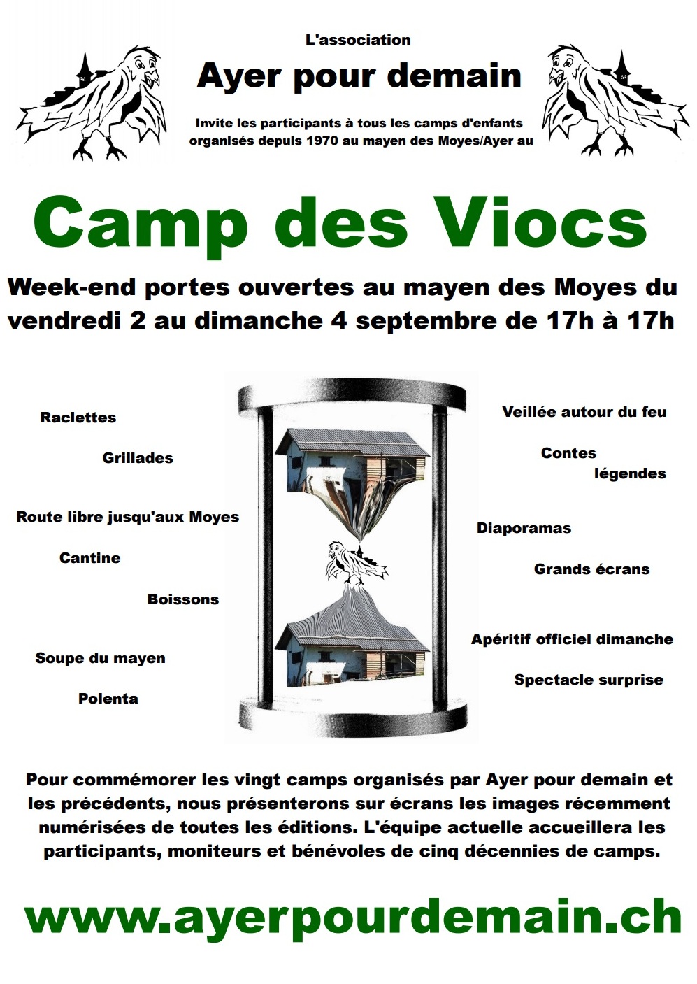 FlyerCampdesViocs